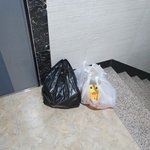 [방탈죄송] 음식물 쓰레기(배달음식 다 먹고 남은거) <b>복도</b>에 놓는...