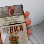 <b>탈주</b>함 기모찌