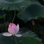 자소서 아직 못 쓴 사람 있어?