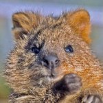 ㅊㅏㅇ모 쒯이긴한데 랩은 개쩐다