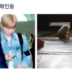 [강다니엘] 멈무맞네