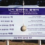 [댓글부탁해] 제주도 날씨 알려주는 <b>돌멩이</b> 근황