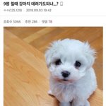 교복 마이 줄이는 거 <b>수선비</b> 얼마나 나와?