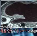 외모<b>지상</b>주의폐해를 모르나
