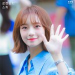'말갛다'의 <b>대명사</b> 같은 여돌