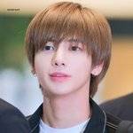 <b>민트</b>초코 싫어하는 '반민초단' 아이돌
