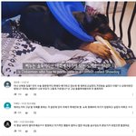 [드루와] 아프리카 여<b>BJ</b> 애완견 논란