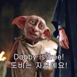 [댓글부탁해] <b>강박</b>증 있는거 적고가자