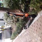 강남일대 <b>대여</b> 전동킥보드에 상해를 입었어요 찾아주세요