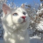 나 오늘 아빠 때문에 울음