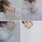 [<b>프듀X</b>] 스타쉽개웃김ㅋㅌㅋㅋㅋㅌㅋ