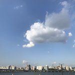 [추반] 칼하트 후드티 사 말아 추반 좀