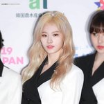 트와이스 <b>사나</b> 최근