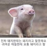 [댓글부탁해] 여드름에 효과좋은거 아는사람 ㅜ