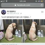 [드루와] <b>치위생학</b>과 대학 순위매겨줘