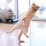 [드루와] 얘들아 꿈 없는 친구한테 <b>위로</b>