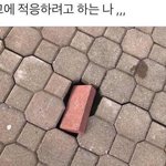 [드루와] 오늘 가족<b>외식</b>갔는데 알바생오빠 너무 고마웠어