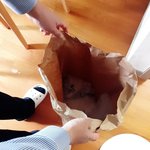 [고양이] 수정 사진추가)미냥망고 세번째입니다