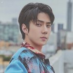 [세훈] SC굿즈 엽서북 <b>스캔</b>본
