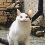 [드루와] 피어싱은 진짜 피딱지와의 <b>전쟁</b>이다