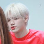 생일이 고백데이라는 아이돌