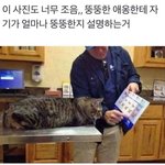 [추반] 추석맞이 이상형 추반하자