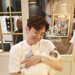 [연예인] 제 이상형 특징 좀 알려주세요