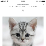 [댓글부탁해] ㅇ? 얘들아 나 <b>태몽</b> 꾼 거임..?
