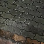 [댓글부탁해] 추반 좀 <b>해조</b>ㅠㅠㅠㅠ제발