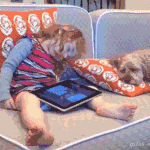 Jfla - good <b>vibe</b> 개좋지않아??ㅠㅠ