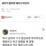 [EXO] ⬇️새끼가 왕따면 <b>애미</b>가 미친다 여기