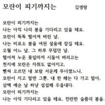 <b>빛삭</b>