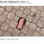 [댓글부탁해] <b>아메</b>카지룩 어디가 이쁘냐