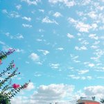 [댓글부탁해] 공대 <b>ot</b>간다vs 안 간다