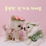 [강아지] 랄라 우리집 뽀시래기들 - <b>풍성</b>한 한가위 되세요