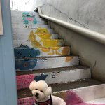 [EXO] 리쓴 <b>사진</b> 보니까 <b>이때</b> 비비 생각남