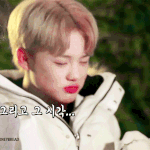 [NCT] 천러랑 <b>지성</b>이 움짤 좀 주라 ㅠㅠ