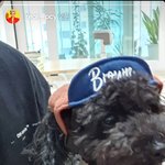 [EXO] 열<b>토리</b> 토벤이 모자썼어ㅋㅋㅋㅋ