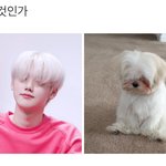 [드루와] 나 에어팟 삿어!!!!!!!!