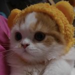 얘들아 썸남한테 이거 오바야?