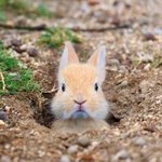 [NCT] 헉 도영이 여권<b>증명</b>사진 유출됌ㅜㅜ