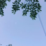 [댓글부탁해] 나 제발쫌 살려줘 제발 사람 살린다 생각하고 들어와줘