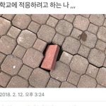 [드루와] 지금.<b>코노</b> 갈까