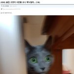 [19] 이번 <b>추석</b> 사건사고 속보 모음