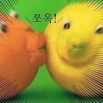 한달<b>투명</b>렌즈 얼마임?