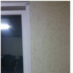 [19] 모기 잡기 극악 난이도의 <b>벽지</b>