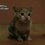 [드루와] <b>지갑</b> 추반