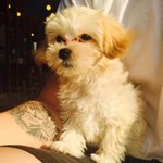 [드루와] 삶의 질을 떨어뜨리는 신체결함들