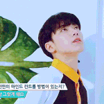 내 최애들 공통점 찾아주라