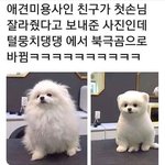 [댓글부탁해] 수트/정장/<b>양복</b> 대체 뭐가 맞는 말이야